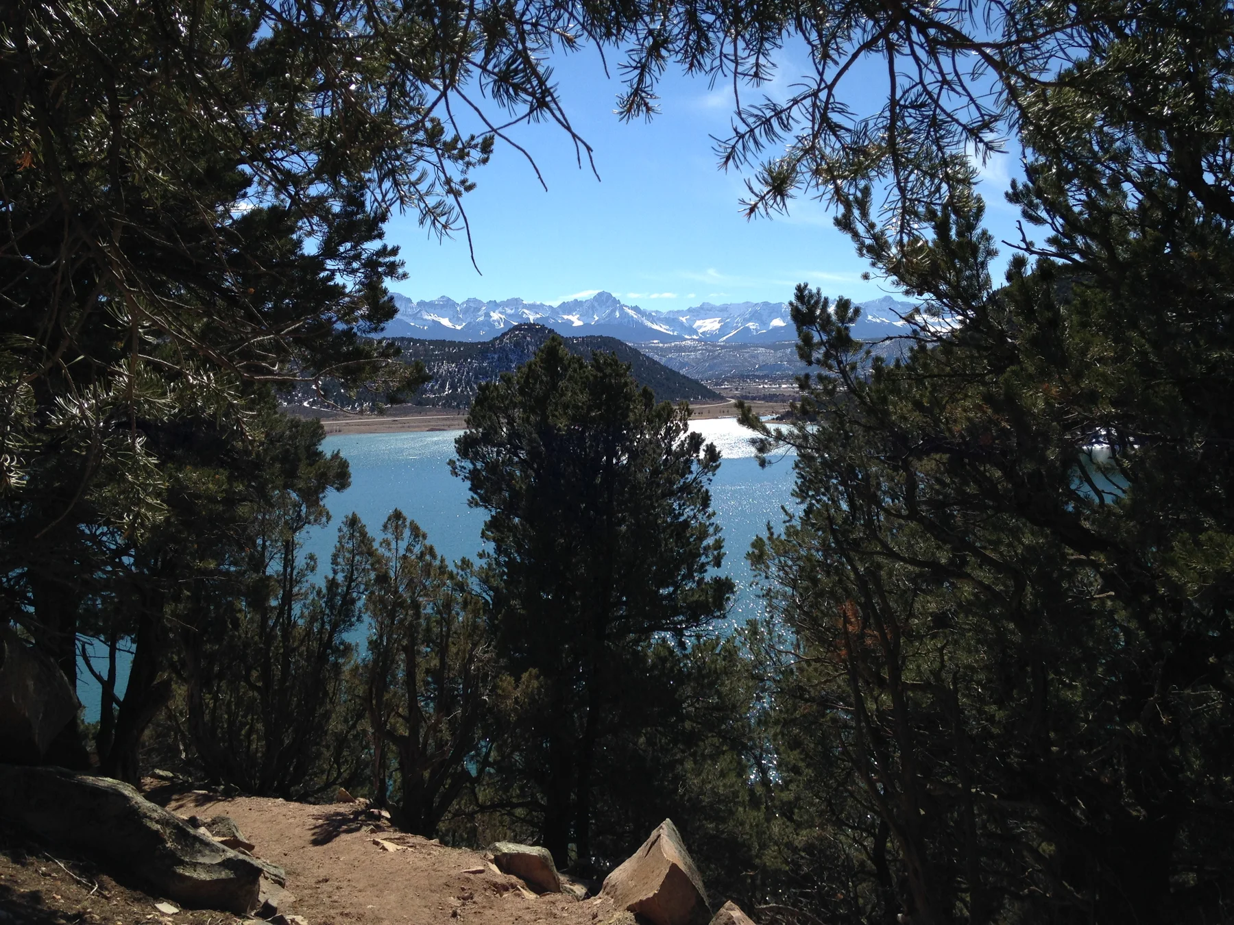 Ridgway Reservoir and snowy San Juan Mountains framed by trees